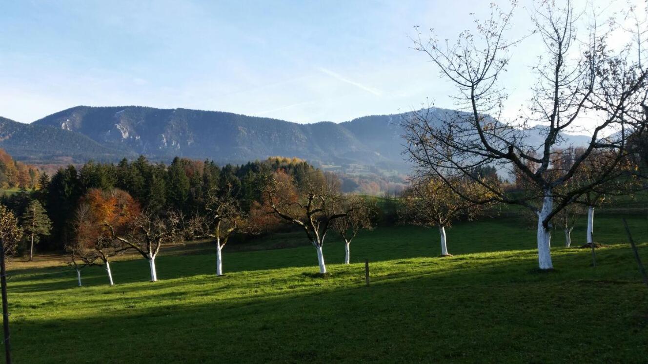 Weissnhof Villa Замерберг Екстериор снимка